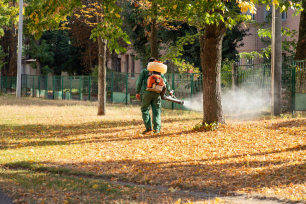 Best Affordable Pest Control Services  in Jamestown, TN